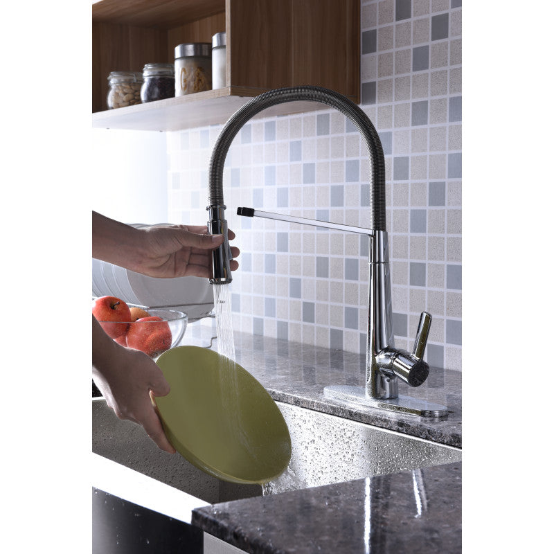 Apollo Single Handle Pull-Down Sprayer Kitchen Faucet