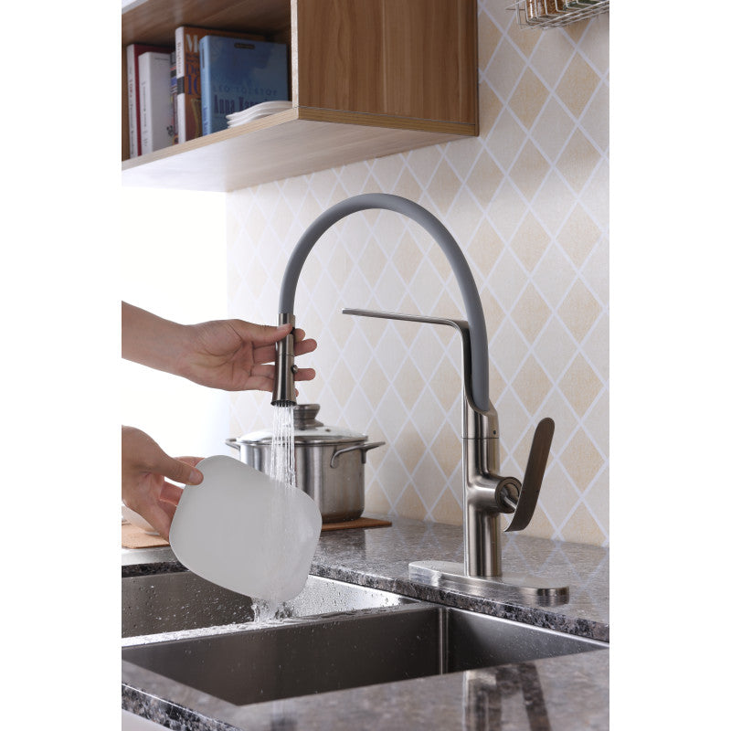 Accent Single Handle Pull-Down Sprayer Kitchen Faucet