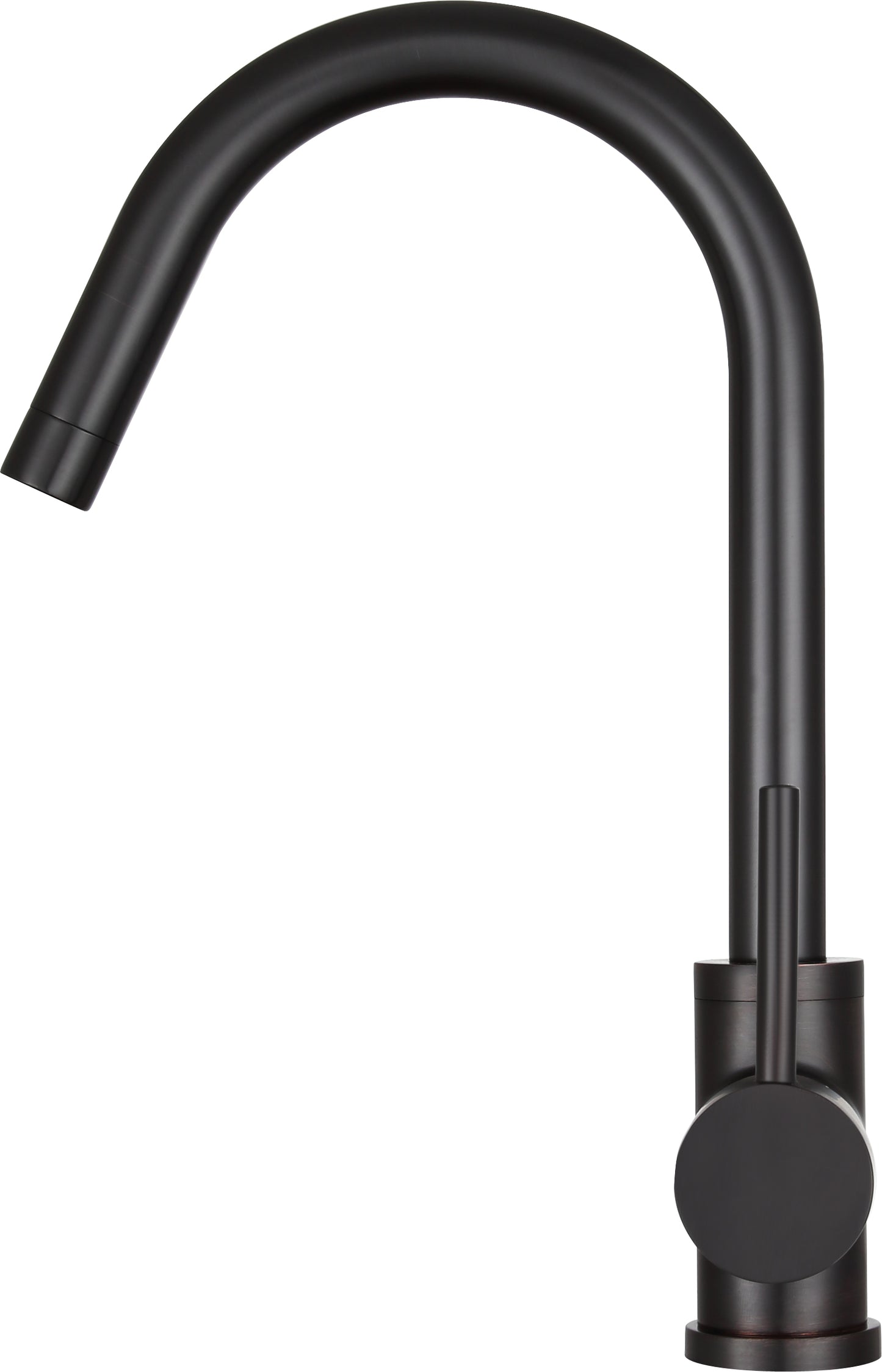 Farnese Single-Handle Standard Kitchen Faucet with Side Sprayer