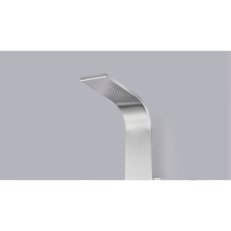 Visor 60 in. Full Body Shower Panel with Heavy Rain Shower and Spray Wand in Brushed Steel