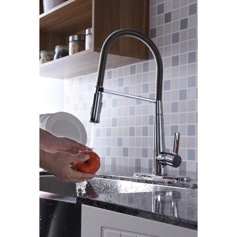 Apollo Single Handle Pull-Down Sprayer Kitchen Faucet