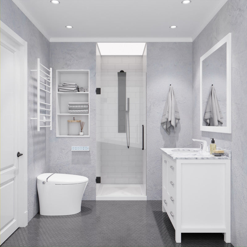 Passion Series 24 in. by 72 in. Frameless Hinged shower door with Handle