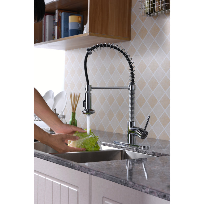 Step Single Handle Pull-Down Sprayer Kitchen Faucet