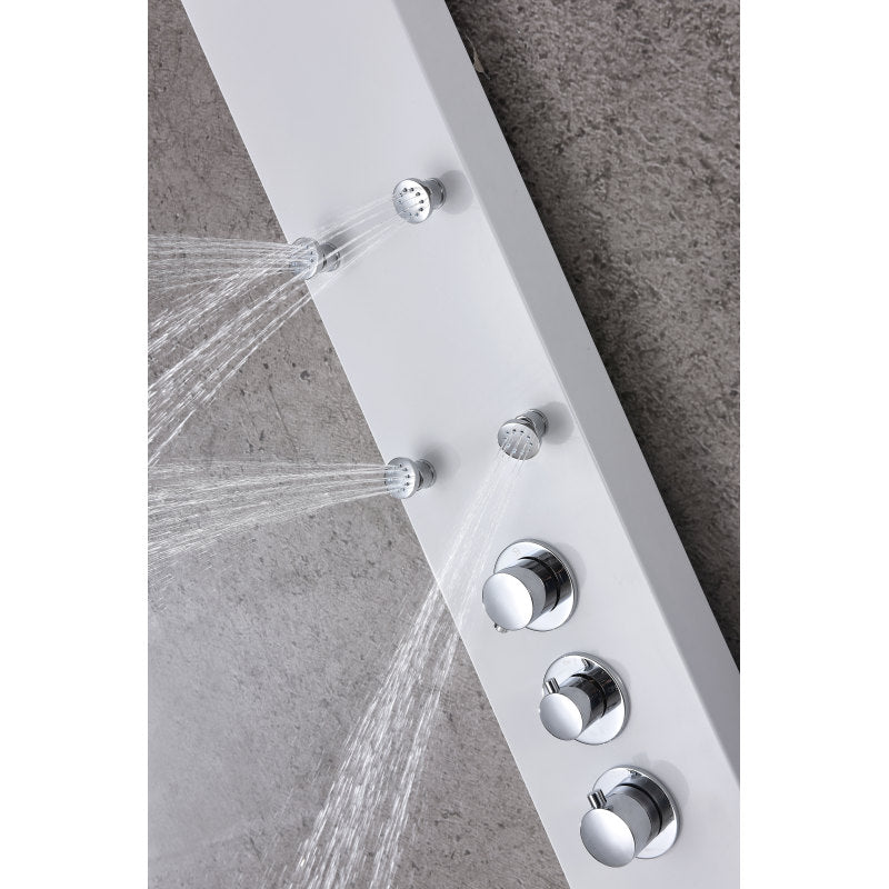 Panther 60 in. 6-Jetted Full Body Shower Panel with Heavy Rain Shower and Spray Wand in White