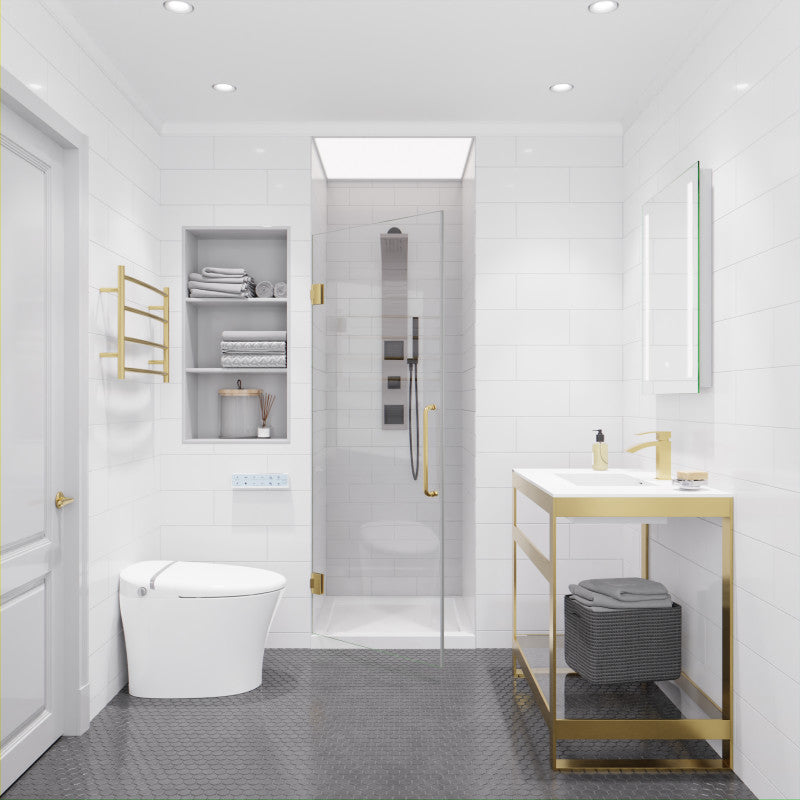 Passion Series 24 in. by 72 in. Frameless Hinged shower door with Handle