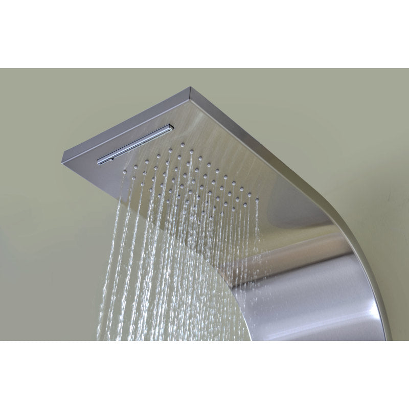 Niagara 64 in. 2-Jetted Shower Panel with Heavy Rain Shower and Spray Wand in Brushed Steel