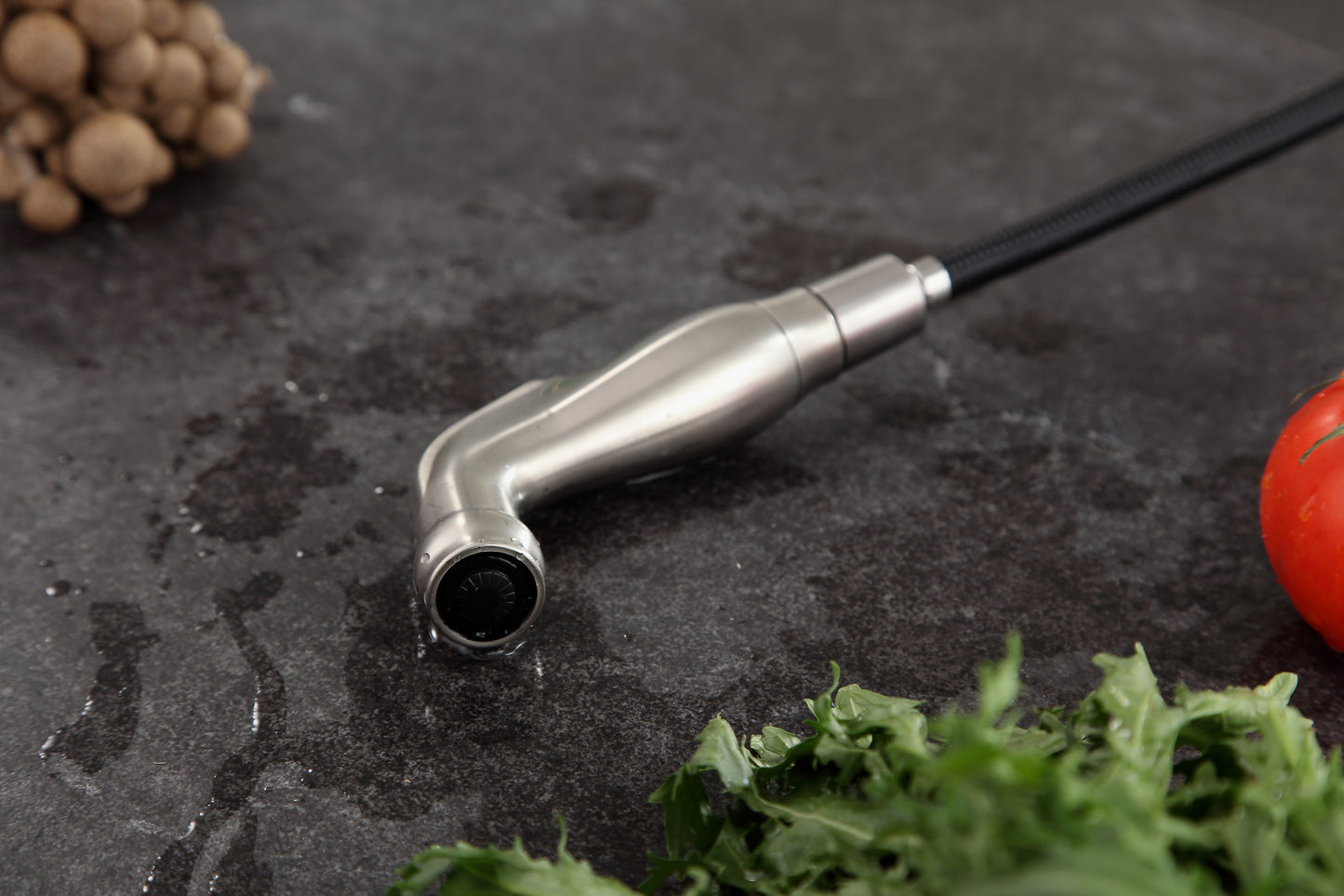 Farnese Single-Handle Standard Kitchen Faucet with Side Sprayer