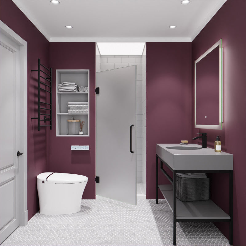 Passion Series 24 in. by 72 in. Frameless Hinged shower door with Handle