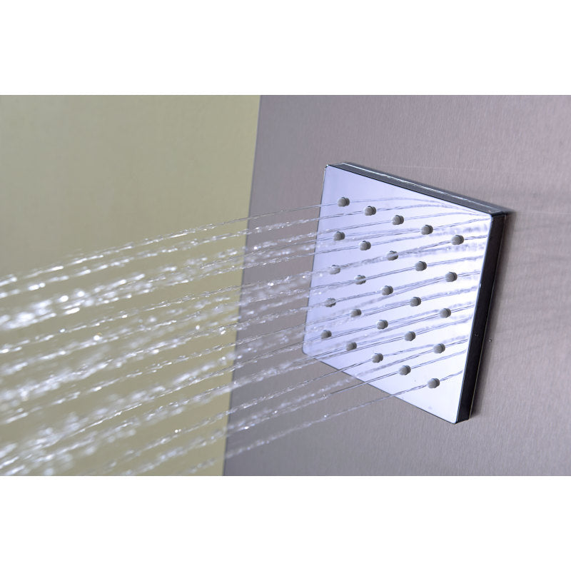 Niagara 64 in. 2-Jetted Shower Panel with Heavy Rain Shower and Spray Wand in Brushed Steel