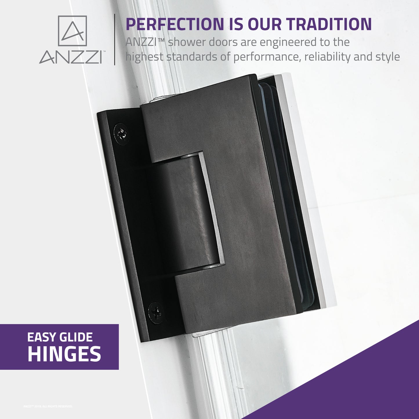 Passion Series 24 in. by 72 in. Frameless Hinged shower door with Handle