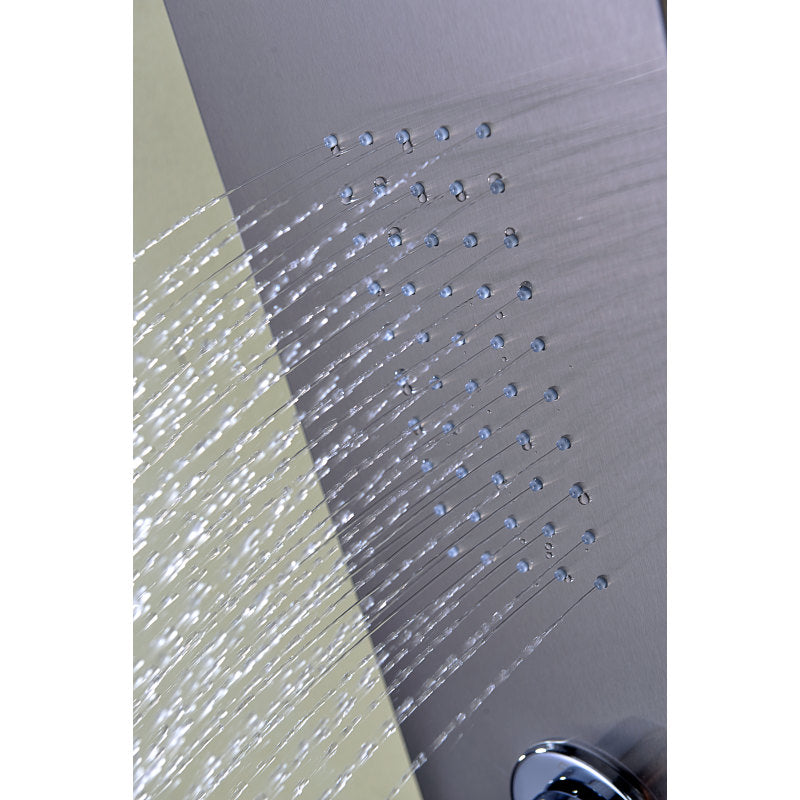 Arc 64 in. 2-Jetted Shower Panel with Heavy Rain Shower and Spray Wand in Brushed Stainless Steel