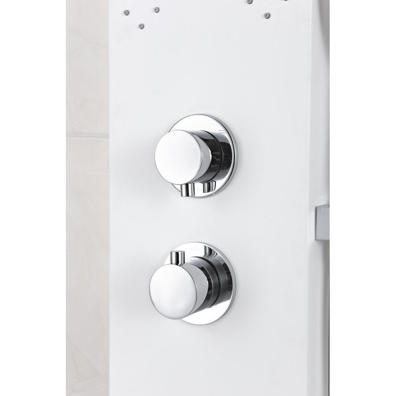 Swan 64 in. 6-Jetted Full Body Shower Panel with Heavy Rain Shower and Spray Wand in White