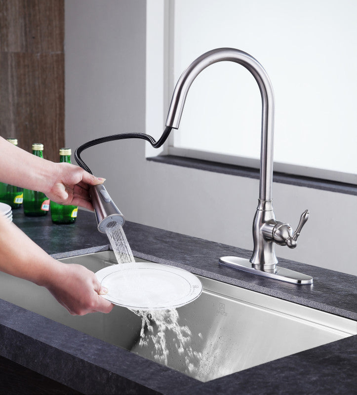 Rodeo Single-Handle Pull-Out Sprayer Kitchen Faucet in Brushed Nickel