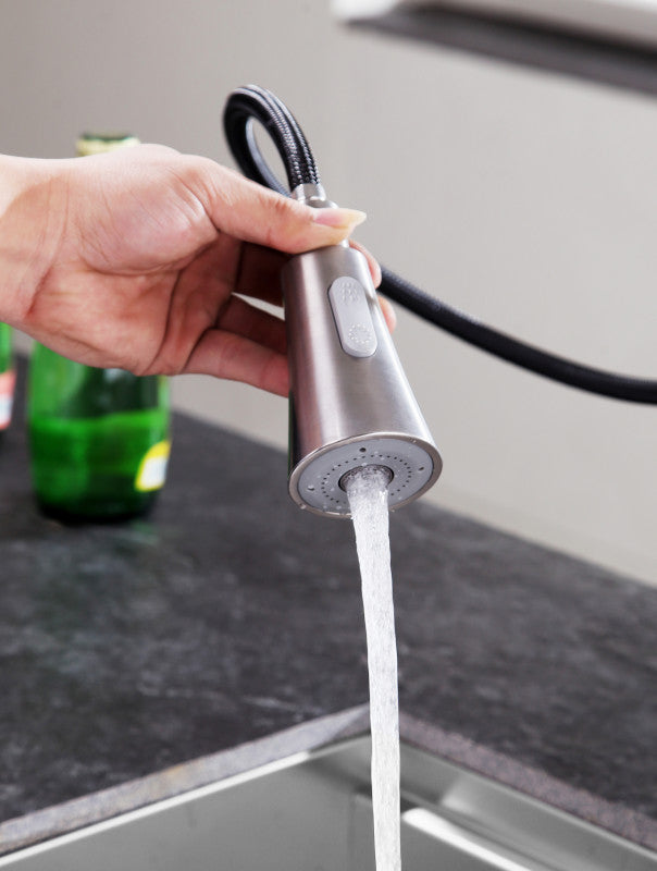 Rodeo Single-Handle Pull-Out Sprayer Kitchen Faucet in Brushed Nickel