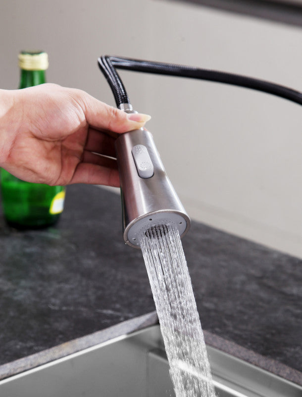 Rodeo Single-Handle Pull-Out Sprayer Kitchen Faucet in Brushed Nickel