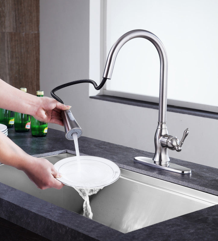 Rodeo Single-Handle Pull-Out Sprayer Kitchen Faucet in Brushed Nickel