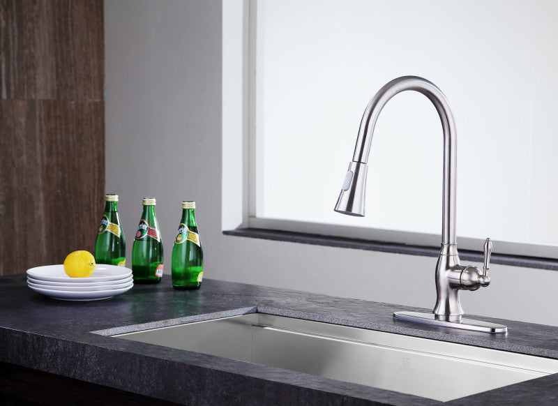 Rodeo Single-Handle Pull-Out Sprayer Kitchen Faucet in Brushed Nickel