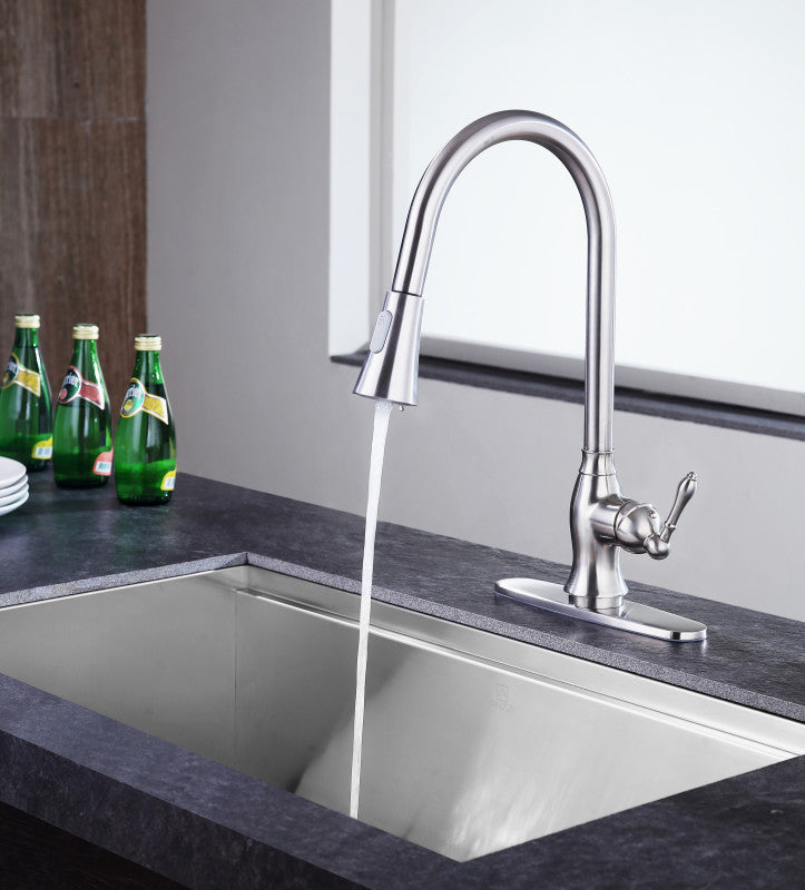 Rodeo Single-Handle Pull-Out Sprayer Kitchen Faucet in Brushed Nickel