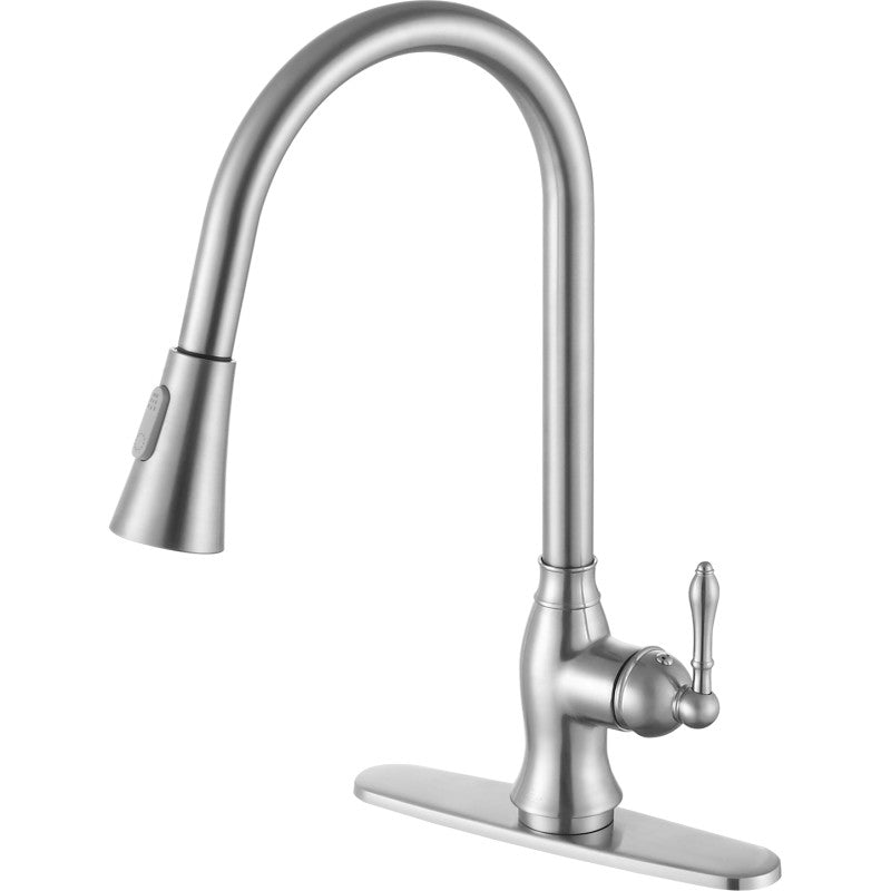 Rodeo Single-Handle Pull-Out Sprayer Kitchen Faucet in Brushed Nickel
