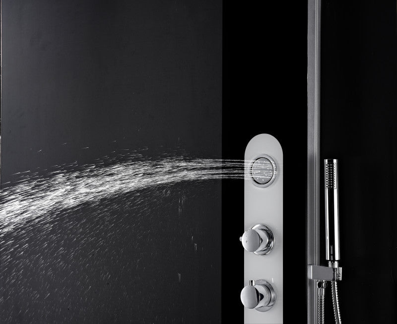 Lande Series 56 in. Full Body Shower Panel System with Heavy Rain Shower and Spray Wand in Black