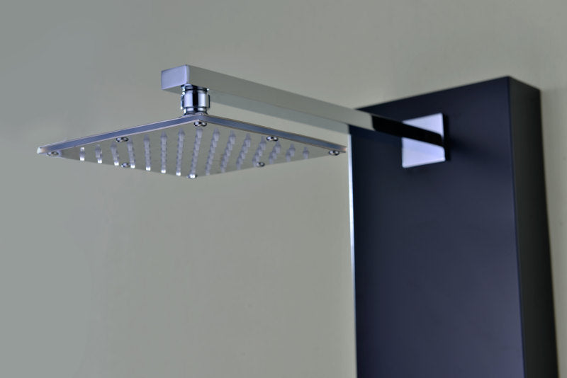 Ronin 52 in. 2-Jetted Full Body Shower Panel with Heavy Rain Shower and Spray Wand in Black