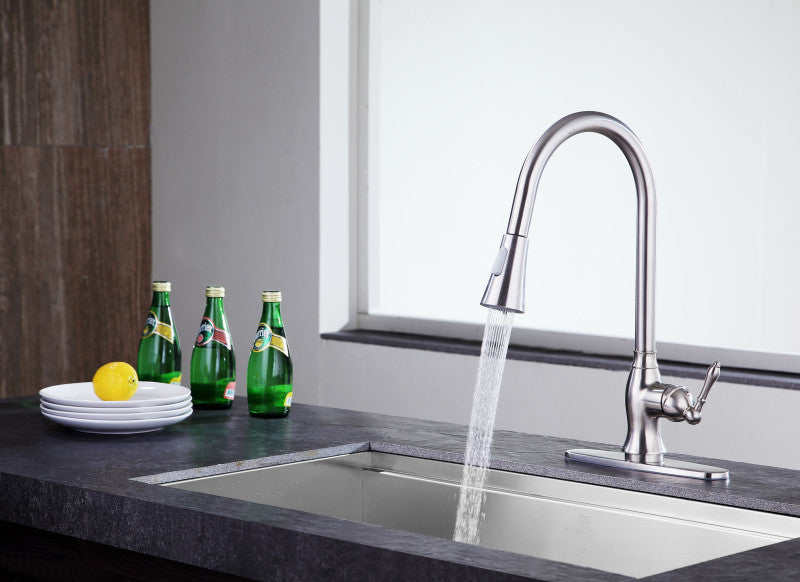 Rodeo Single-Handle Pull-Out Sprayer Kitchen Faucet in Brushed Nickel