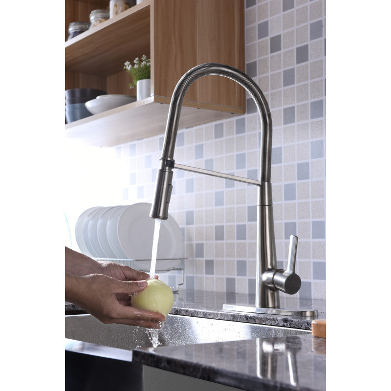 Apollo Single Handle Pull-Down Sprayer Kitchen Faucet