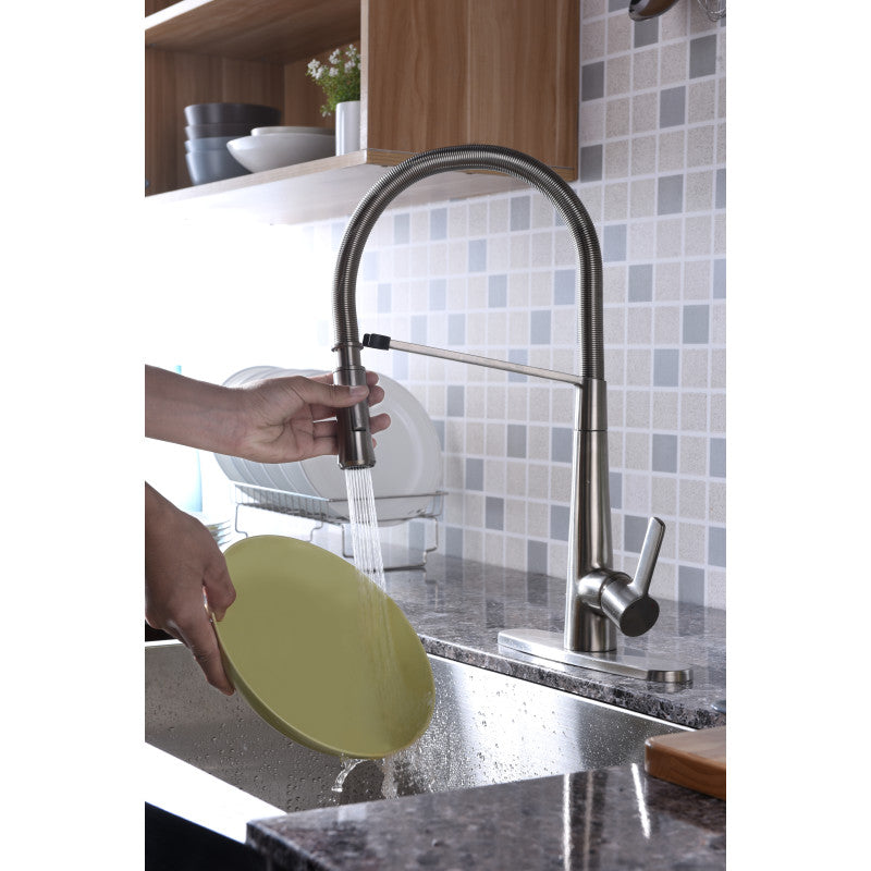 Apollo Single Handle Pull-Down Sprayer Kitchen Faucet