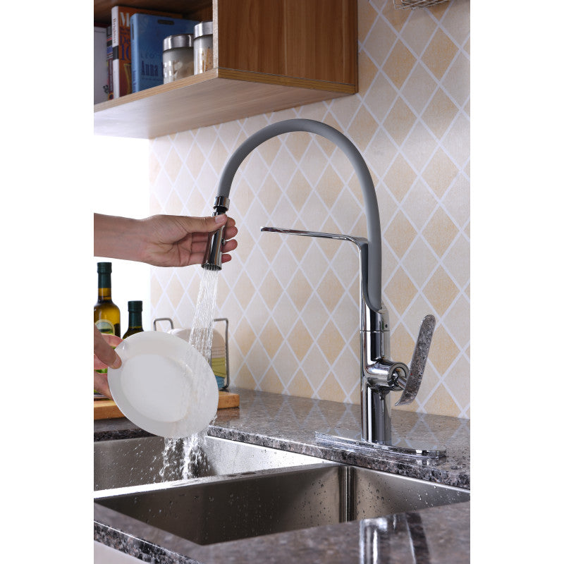 Accent Single Handle Pull-Down Sprayer Kitchen Faucet