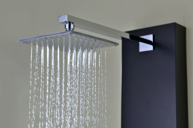 Ronin 52 in. 2-Jetted Full Body Shower Panel with Heavy Rain Shower and Spray Wand in Black